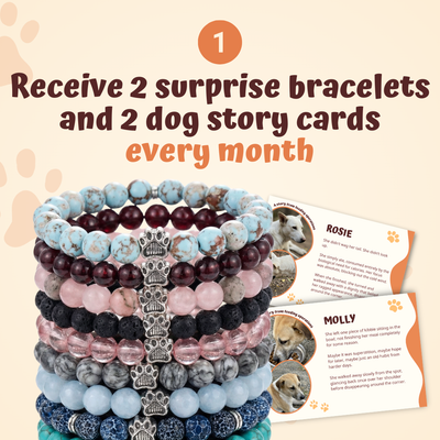 The Monthly Paws Club