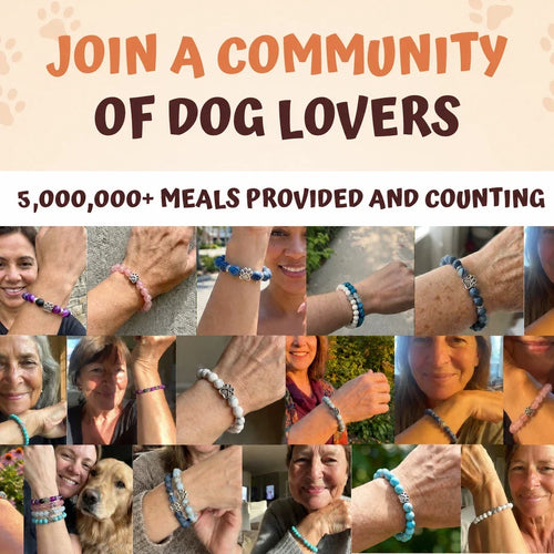 The Monthly Paws Club