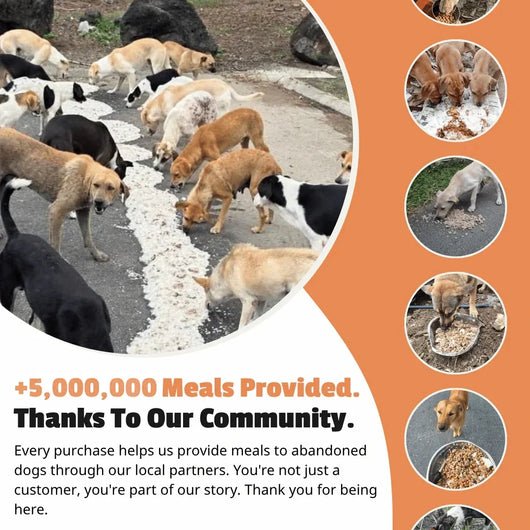 Ghost Set (Limited Halloween Edition)