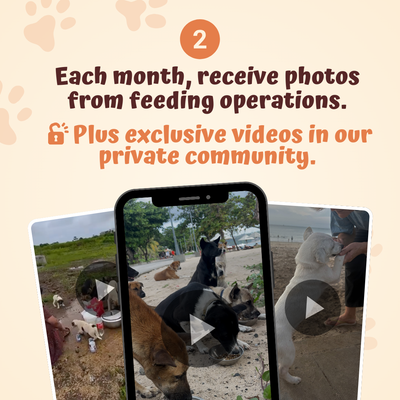 The Monthly Paws Club
