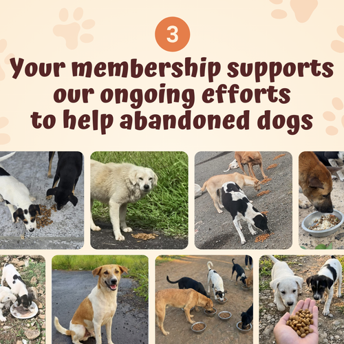 The Monthly Paws Club
