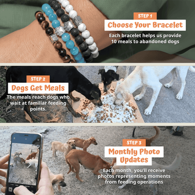 Bracelet Set (Ocean + Lagoon + Mystic)