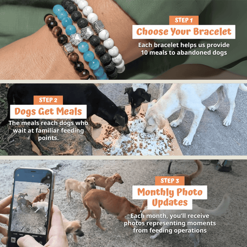 Bracelet Set (Ocean + Lagoon + Mystic)